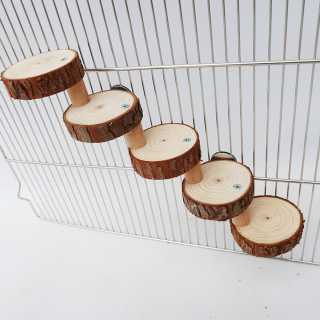 Drabina wspinaczkowa drewniana dla ptaków Parrot Springboard z molo - Wianko - 10