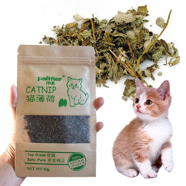 Naturalna kocimiętka organiczna najwyższej jakości - zabawka dla kota z miętą, trawą mentolową i akcesoriami dla kota - Wianko - 7