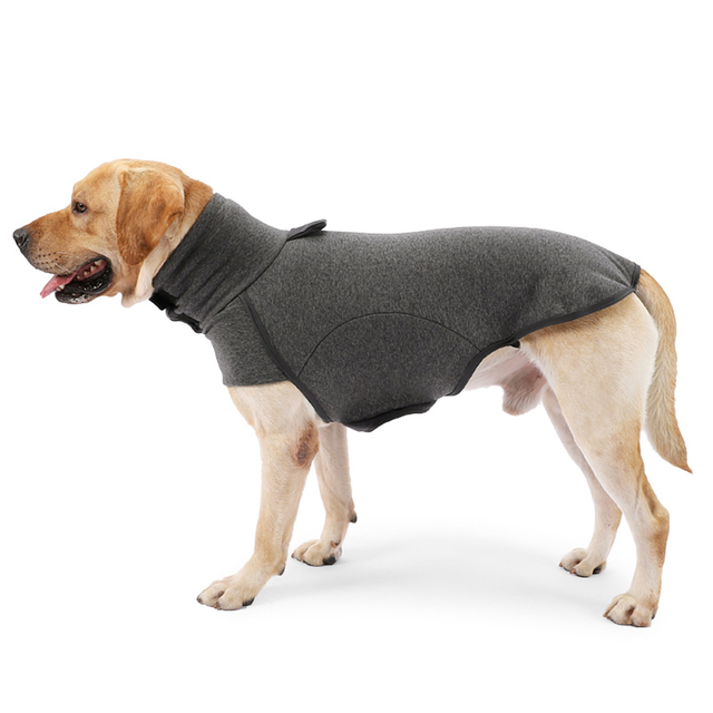 Ciepły płaszcz dla małych i średnich psów - rozmiary kotów dostępne - Wianko - 25