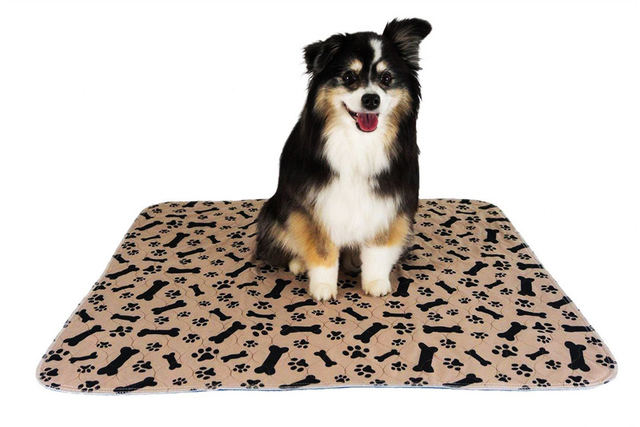 Z30 Dropshipping wodoodporna wielokrotnego użytku łóżko dla psa maty pies moczu Pad Puppy Pee szybko absorbujące Pad dywan na szkolenie dla zwierząt USA Stock - Wianko - 2