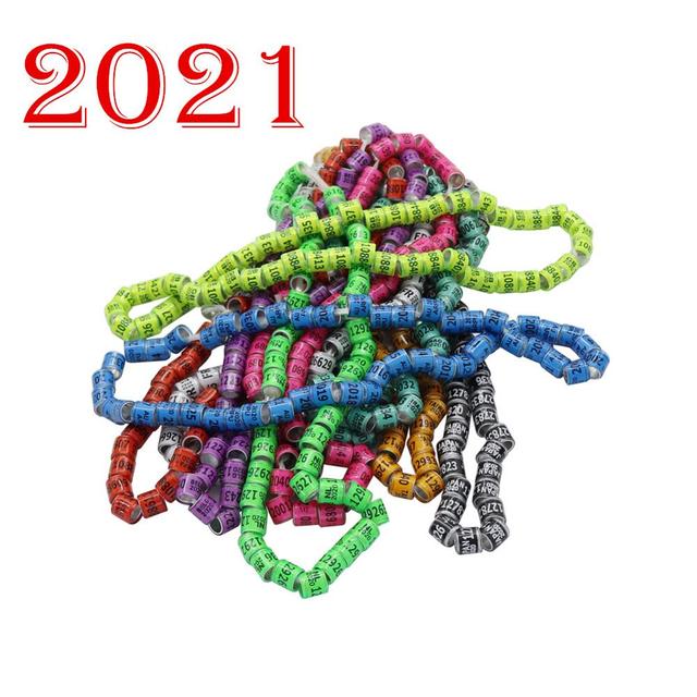 Kolorowe chewable swing wiszący dzwonek hamak most drabiny wspinaczkowe - 6-pak zabawek dla papug - Wianko - 20