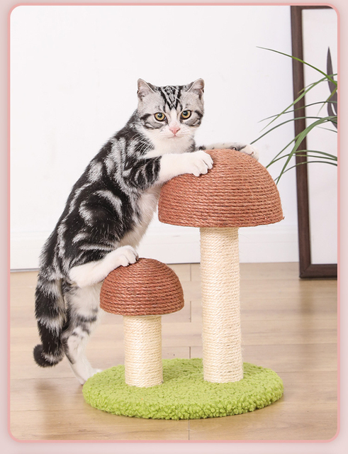 Koci plac zabaw w kształcie grzyba - mały rozmiar, zabawa sizalowa kolumna, drzewo do wspinaczki, platforma - Wianko - 6