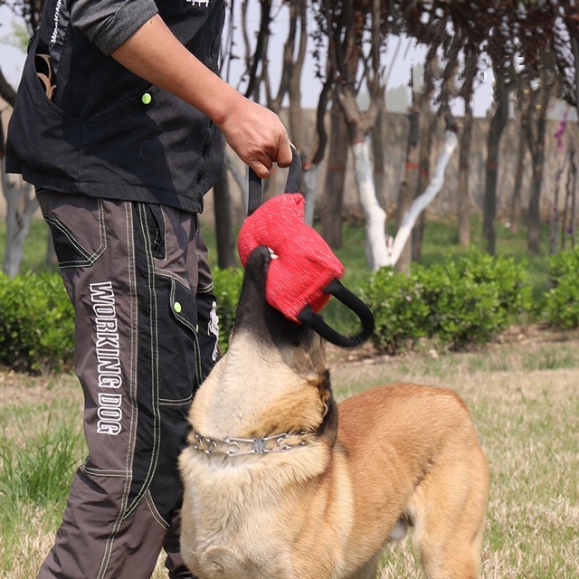 Zręcznościowy Anti-Tear Poduszkowy Sprzęt Treningowy dla Piesków Roboczych Malinois Shepherd Rottweiler - Wianko - 7