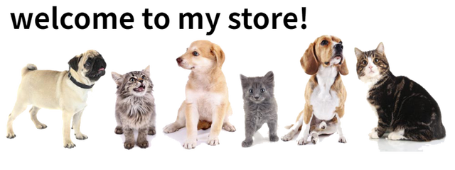 Obroża dla kotów i psów z dzwoneczkami - jasne kolory, małe psy i kocięta, akcesoria koty, psy, zwierzęta domowe - Wianko - 1