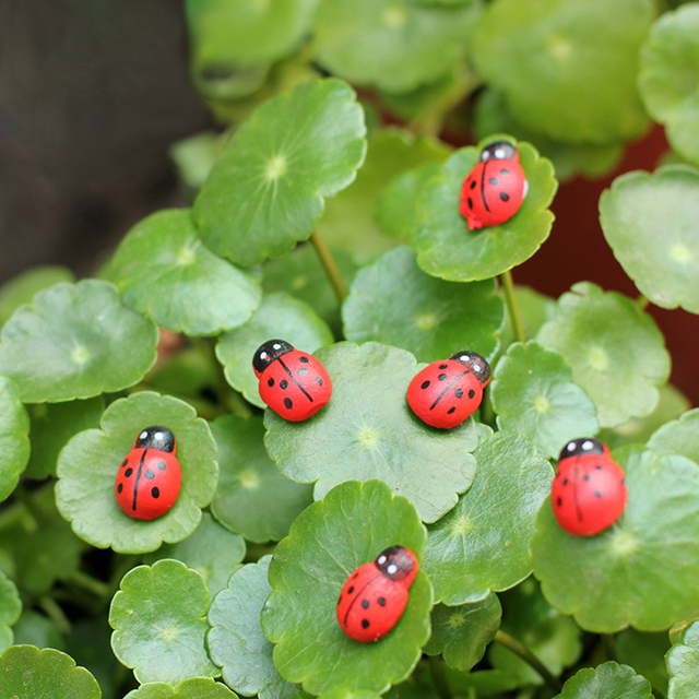 Domek dla lalek biedronka - 10 sztuk, czerwony Mini Beetle, ozdobne kamyczki ogrodowe - Wianko - 5