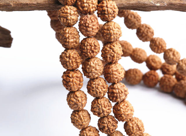 Rudraksha koraliki Bodhi 4-15mm - prawdziwie naturalne, dobrej jakości oderaz Koraliki Rudraksha Bodhi: 4-15mm, prawdziwe i dobrej jakości - Wianko - 4