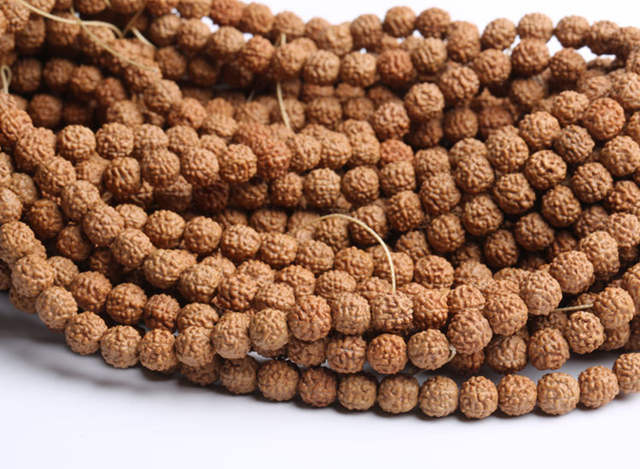 Rudraksha koraliki Bodhi 4-15mm - prawdziwie naturalne, dobrej jakości oderaz Koraliki Rudraksha Bodhi: 4-15mm, prawdziwe i dobrej jakości - Wianko - 5