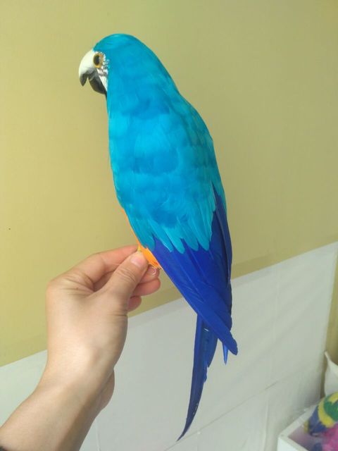 Piankowa i piórowa symulacja niebieskiej i pomarańczowej papugi model papugi ptak prezent 40 cm xf0208 - FIGURKA - Wianko - 5