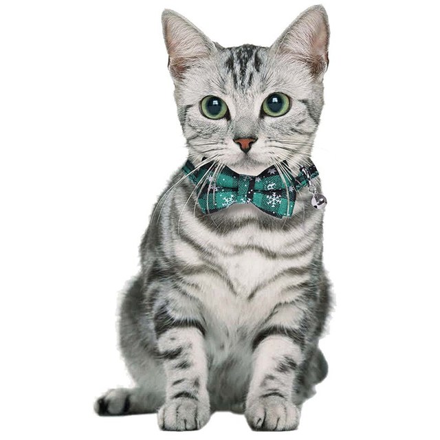 Obroża dla kota z motywem bożonarodzeniowym Quick Release, ozdobiona uroczą muszką w kształcie kokardki, zapewniająca bezpieczeństwo i komfort - Wianko - 5