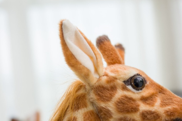 Miękka pluszowa lalka żyrafa, prawdziwe życie, 50-140cm, urocza zabawka na prezent urodzinowy dla dzieci - Wianko - 16