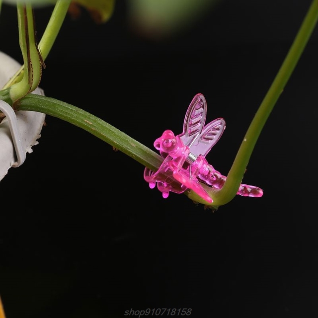 Dragonfly Orchid - 30 sztuk wsparcia do roślin D16 20 - tace do garnków - Wianko - 7