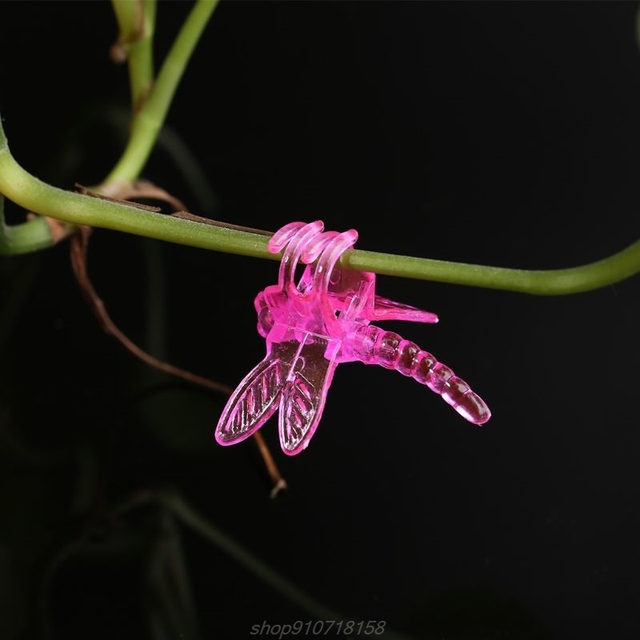 Dragonfly Orchid - 30 sztuk wsparcia do roślin D16 20 - tace do garnków - Wianko - 8