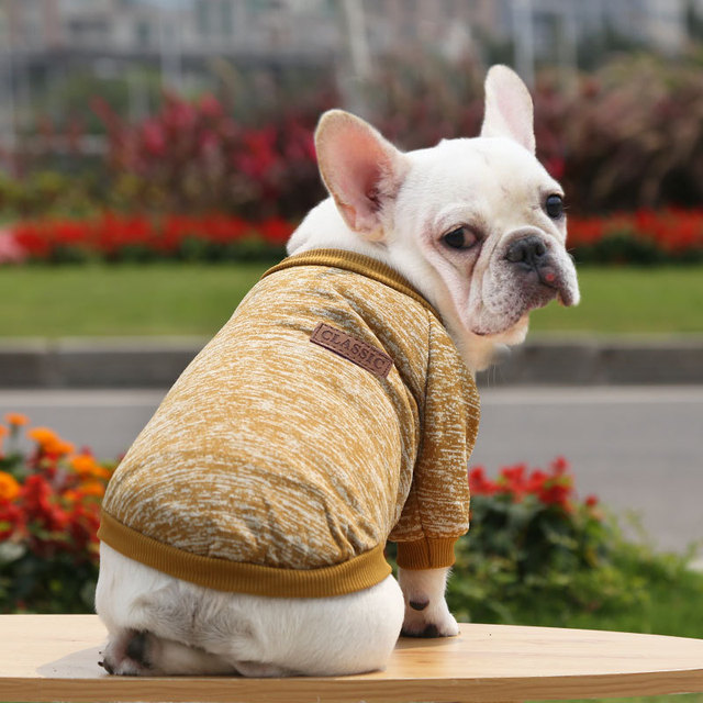 Płaszcz z krótkim rękawem dla kota i małych psów Chihuahua Teddy Dog - szary - Wianko - 33