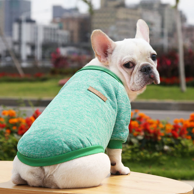 Płaszcz z krótkim rękawem dla kota i małych psów Chihuahua Teddy Dog - szary - Wianko - 11