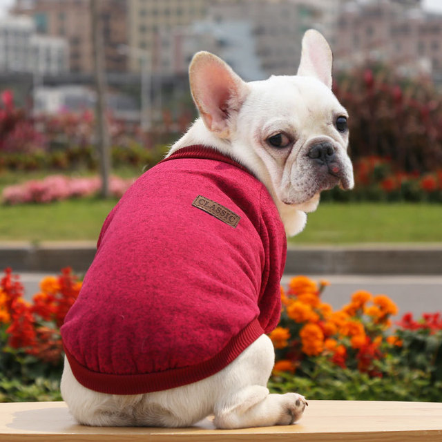 Płaszcz z krótkim rękawem dla kota i małych psów Chihuahua Teddy Dog - szary - Wianko - 15