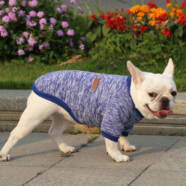 Płaszcz z krótkim rękawem dla kota i małych psów Chihuahua Teddy Dog - szary - Wianko - 16