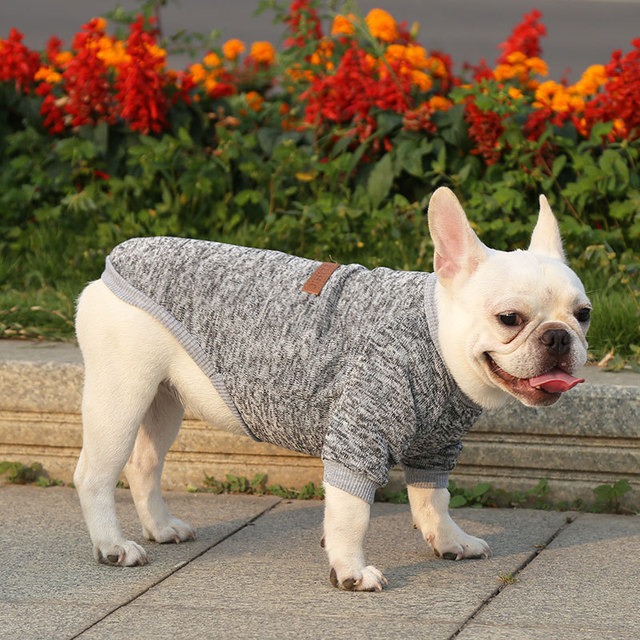 Płaszcz z krótkim rękawem dla kota i małych psów Chihuahua Teddy Dog - szary - Wianko - 22