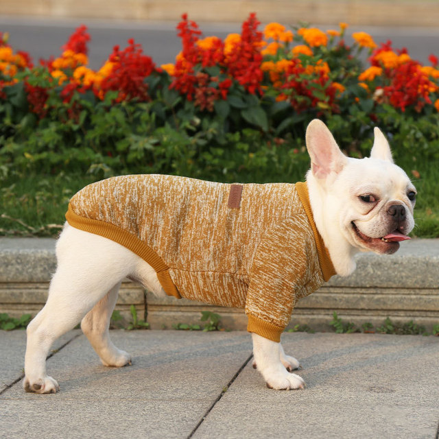 Płaszcz z krótkim rękawem dla kota i małych psów Chihuahua Teddy Dog - szary - Wianko - 31