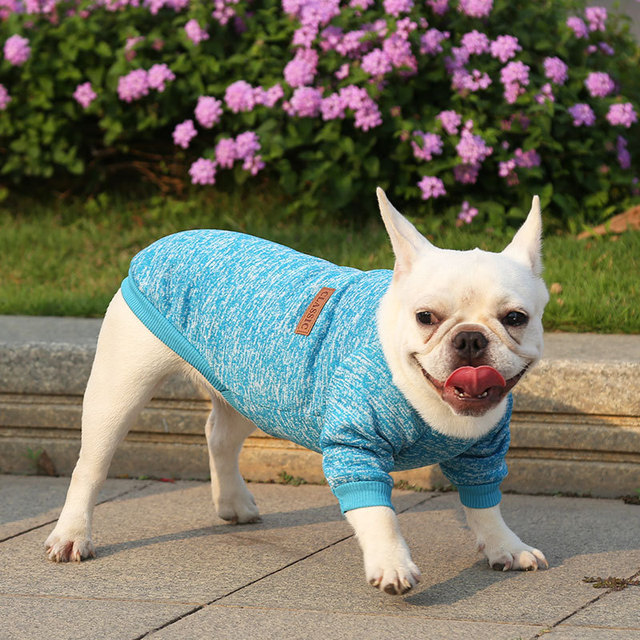 Płaszcz z krótkim rękawem dla kota i małych psów Chihuahua Teddy Dog - szary - Wianko - 12