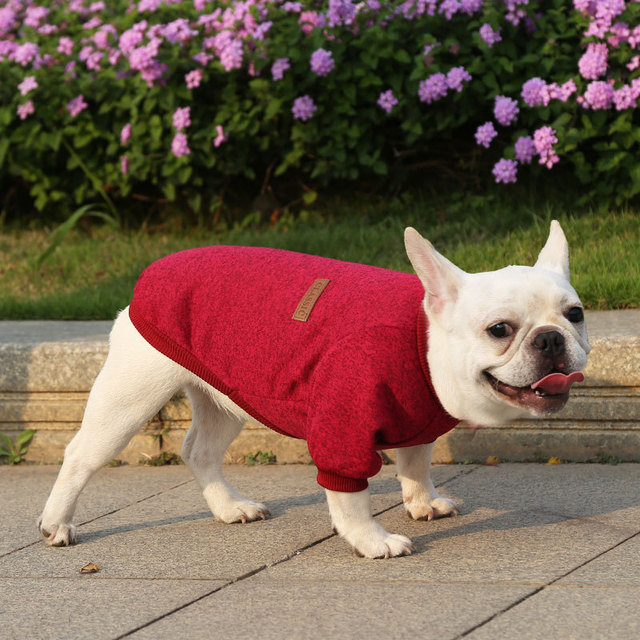 Płaszcz z krótkim rękawem dla kota i małych psów Chihuahua Teddy Dog - szary - Wianko - 13