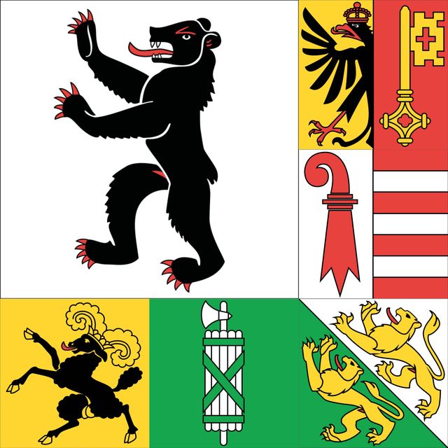 Flaga Szwajcarii z kantonu Wallis: 120x120 cm, 120g, 100D poliester, podwójnie szyta, wysokiej jakości - Wianko - 5