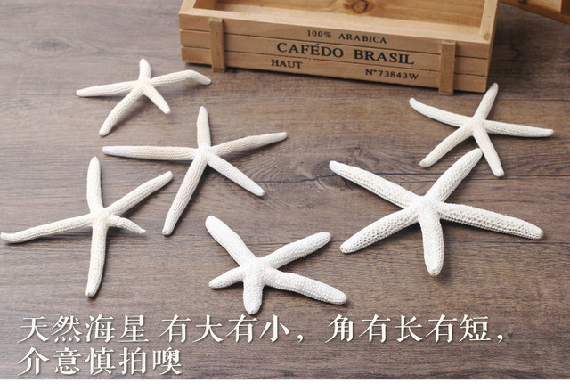 Dekoracje ślubne rozgwiazdy morza HappyKiss - 10 sztuk, 6-10 cm, biały naturalny palec Sea Star - Wianko - 13