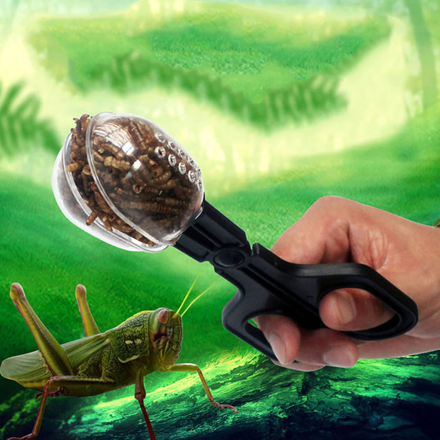 Nożyczki szczypce łapanie owadów dla dzieci - zabawa i nauka biologii - Wianko - 1