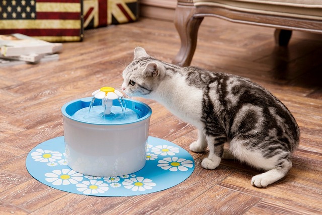 Podajnik wody dla zwierząt 1.6L z fontanną, super cicha miska do picia dla psa i kota - Wianko - 2