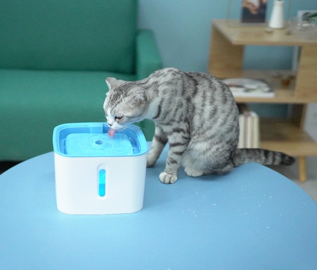 Podajnik wody dla zwierząt 1.6L z fontanną, super cicha miska do picia dla psa i kota - Wianko - 13
