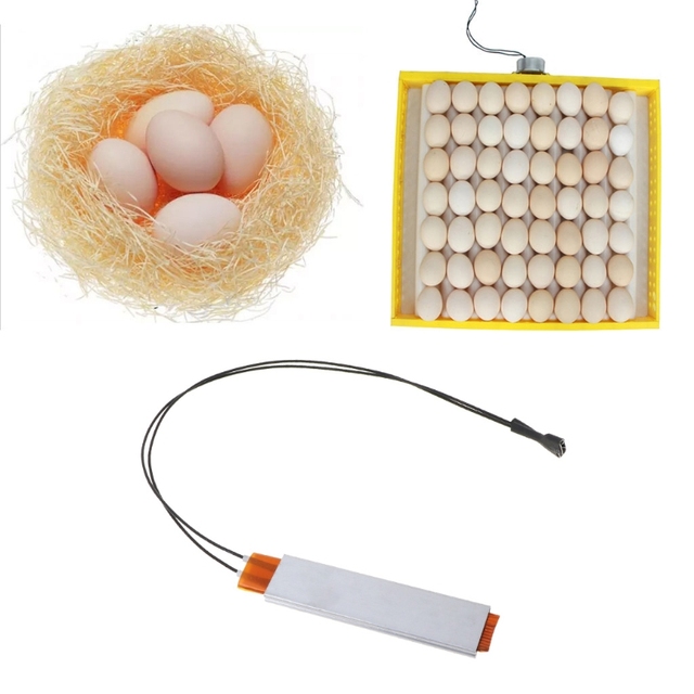 Inkubator jaj z elementem chłodzącym, regulowana płyta grzewcza, 110V 220V - Wianko - 1