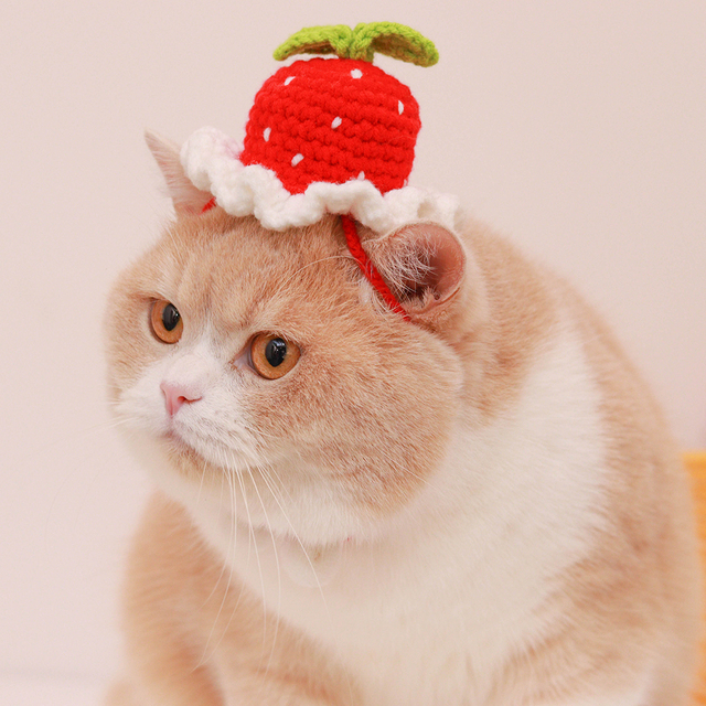 Czapka dla kota wełniana z kapturem w kształcie żabki w kolorze różowym - akcesorium dla kotów - Wianko - 2
