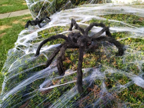 Przerażająca pajęczyna pająka na Halloween, DIY, elastyczna, biała, 2 sztuki - Wianko - 32