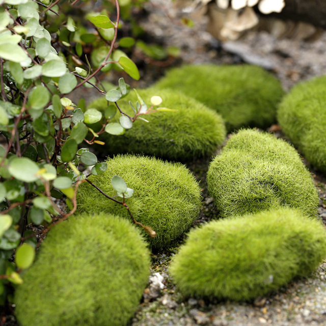 Kreatywny dom DIY zielony mech ozdoby podłogowe do ogrodu - sztuczna pianka rośliny dekoracyjne - Wianko - 4