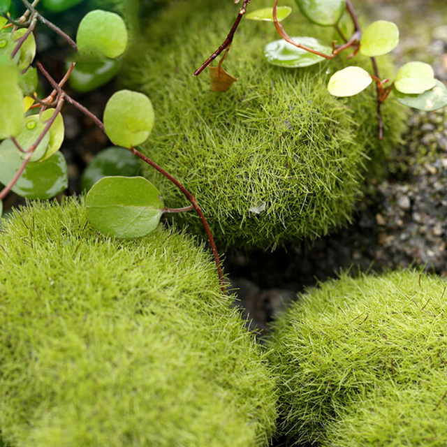 Kreatywny dom DIY zielony mech ozdoby podłogowe do ogrodu - sztuczna pianka rośliny dekoracyjne - Wianko - 9