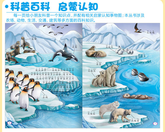 Książeczki Pinyin Early Education Storybook dla dzieci - 10 książek do czytania, poznawania sytuacji dzieci - Wianko - 6