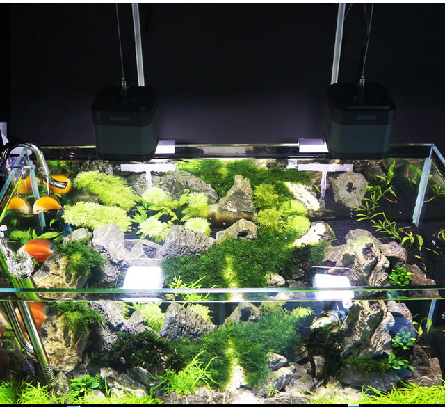 Oświetlenie akwariowe LED o pełnym spektrum - regulowane światło w kształcie rurki do akwariów akwariowych SUNSUN ADT Series - Wianko - 26
