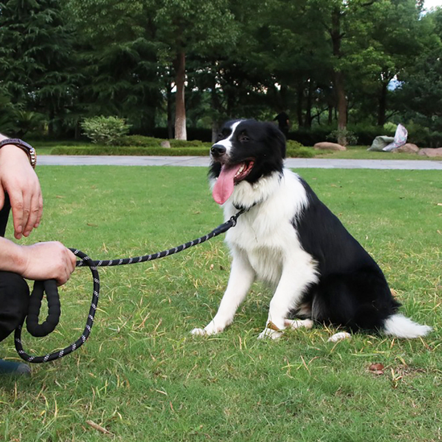 Smycz odblaskowa dla silnego psa, długość 1.5M, wygodny wyściełany uchwyt, lina nylonowa Heavy Duty Training - Wianko - 12