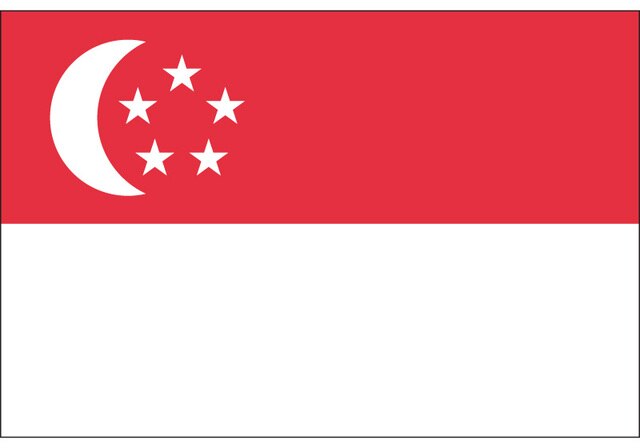 Flaga narodowa Singapuru - różne rozmiary (15x21cm, 90x150cm, 60x90cm, 30x45cm) - wisząca flaga samochodowa - Wianko - 3