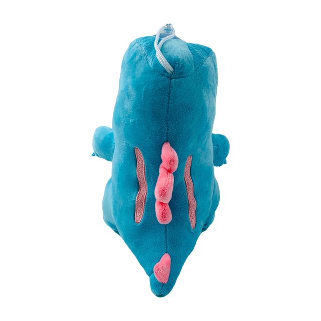 Pluszowa zabawka Totodile Pokemon - krokodyl z kreskówki, wypełniona miękkim materiałem, 20cm, idealna na prezent - Wianko - 4