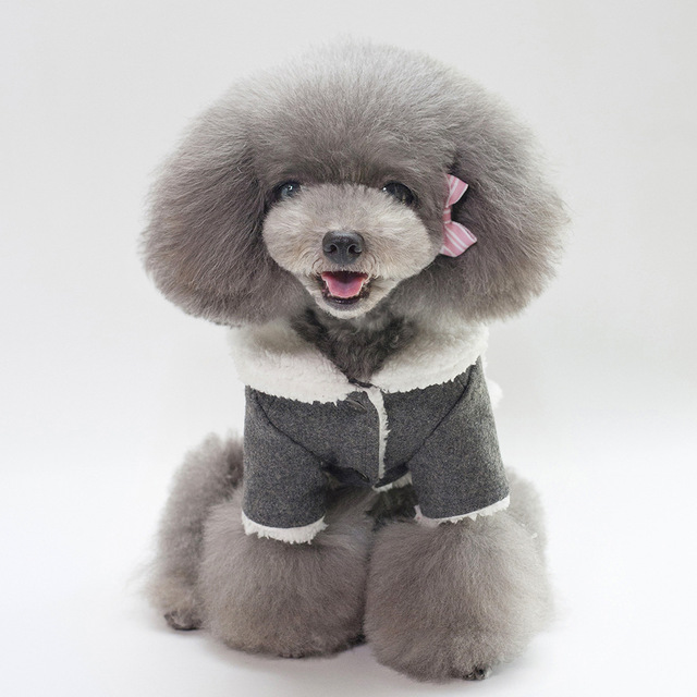 Płaszcz Pet Jack dla małych psów - dwunożny, bawełniany z podszewką - Wianko - 10