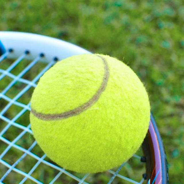 Żółte piłki tenisowe turniejowe wysokiej jakości do sportu na świeżym powietrzu i krykieta na plaży - Wianko - 2