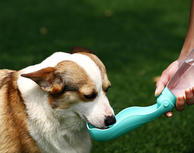 Przenośna podróżna butelka dla psa - wielofunkcyjna karmidło dla zwierząt domowych z dozownikiem wody, idealna na wyjścia - Wianko - 13
