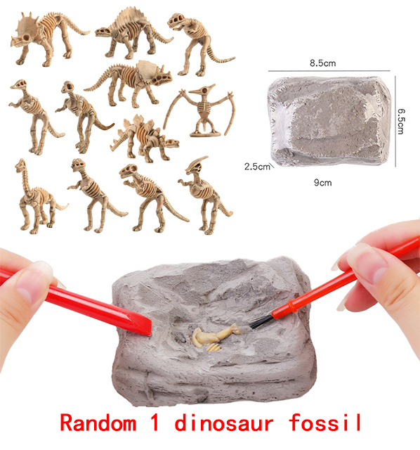 Dekoracja urodzinowa Fossil Dinosaur - talerze, kubki, serwetki, banner - Wianko - 12