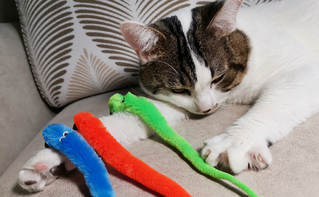 Zabawka dla kota - 6 różdżek Robak w 5 kolorach z dzwonkiem, interaktywna - Wianko - 20