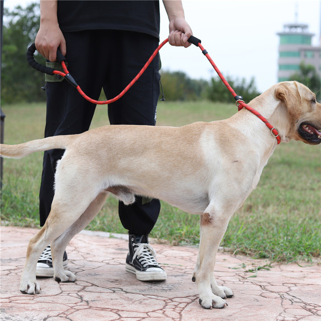 Regulowana odblaskowa smycz dla psa z personalizacją - Wianko - 3