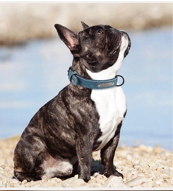 Niestandardowe skórzane obroże personalizowane dla psów - różowa, czarna, zielona, róża, niebieska - Wianko - 13
