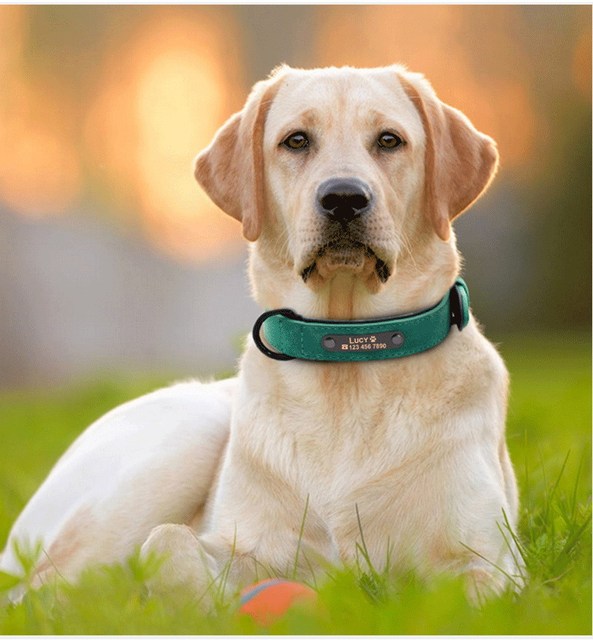 Niestandardowe skórzane obroże personalizowane dla psów - różowa, czarna, zielona, róża, niebieska - Wianko - 11