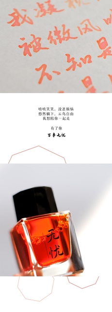 Piąta rocznica atramentu kolorowego Fangyangtan Wuyou 20ml - Wianko - 6