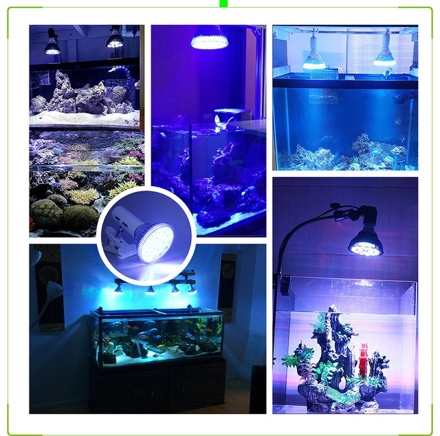 Lampa LED do akwarium 54W - oświetlenie ryb, roślin i raf koralowych, morska woda, algi - Wianko - 12