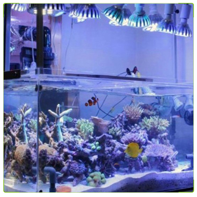Lampa LED do akwarium 54W - oświetlenie ryb, roślin i raf koralowych, morska woda, algi - Wianko - 10